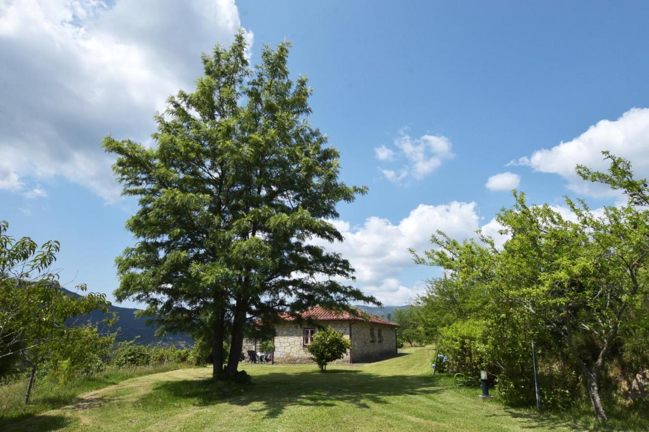 Casa Da Ramada, Turismo Espaco Rural. Hébergement de vacances Ponte de Lima